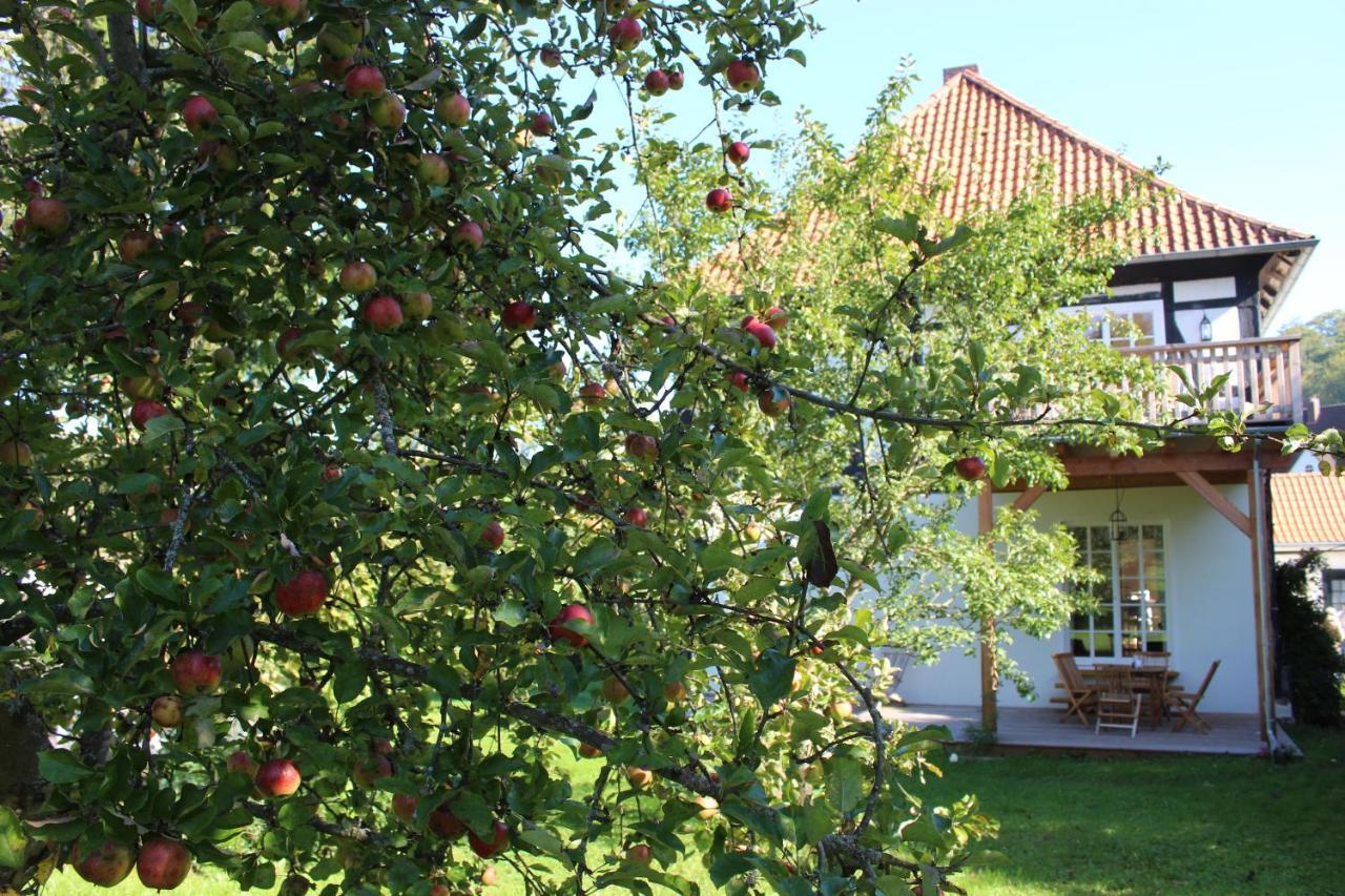 Forsthaus In Waldhessen Lägenhet Bauhaus Exteriör bild